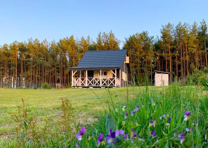 Prosportowek - Bronkow - Domek Nad Jeziorem W Otoczeniu Pieknych Lasow